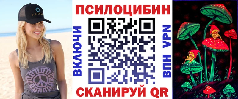 mega   Коломна  Псилоцибиновые грибы мухоморы 